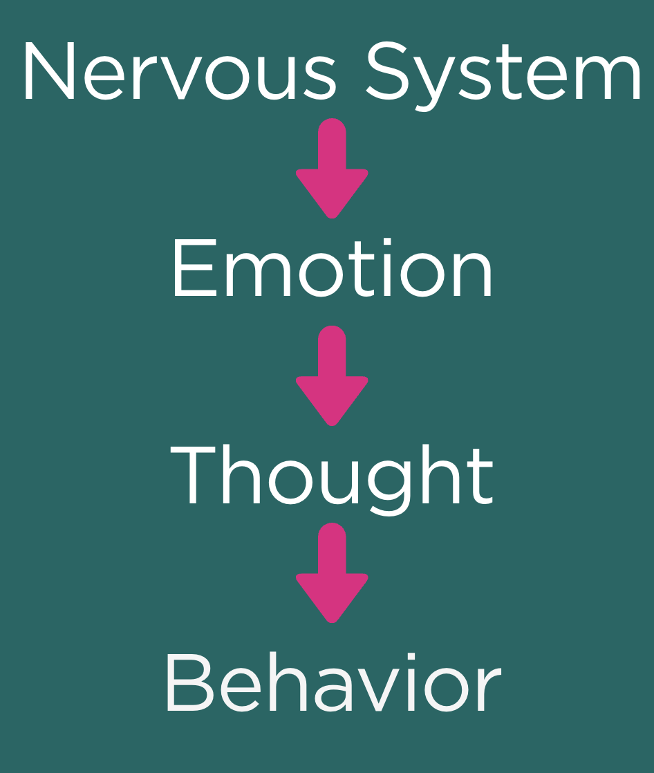 Screenshot 2026-01-17 at 4.02.24 PM