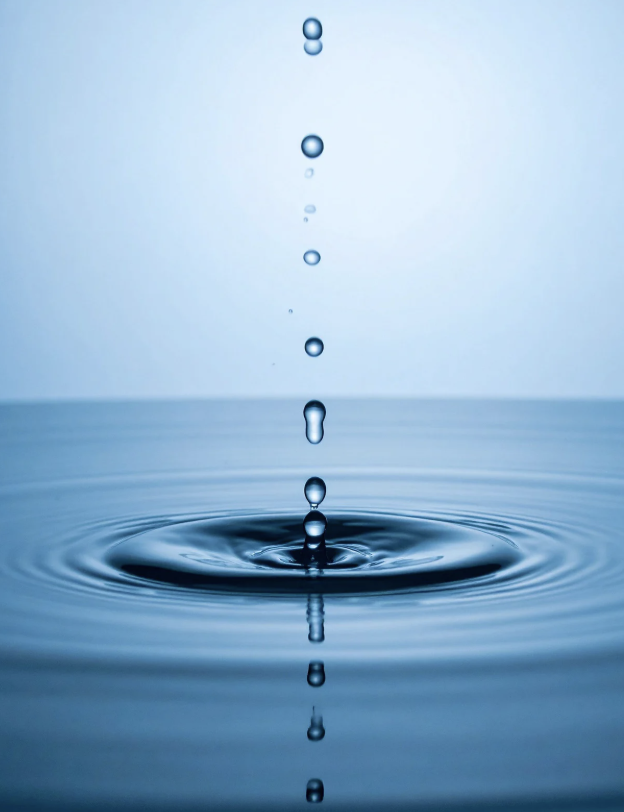 Screenshot 2026-02-15 at 9.15.20 PM